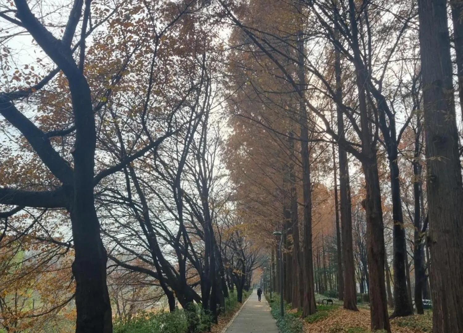 Yangjae Station & Stream Stay Σεούλ 0*,
